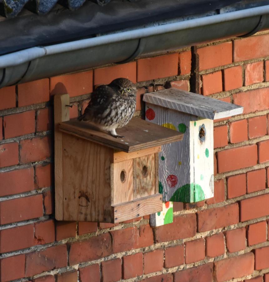 Appartamento Kreativhof Lehmberg Hamminkeln Esterno foto