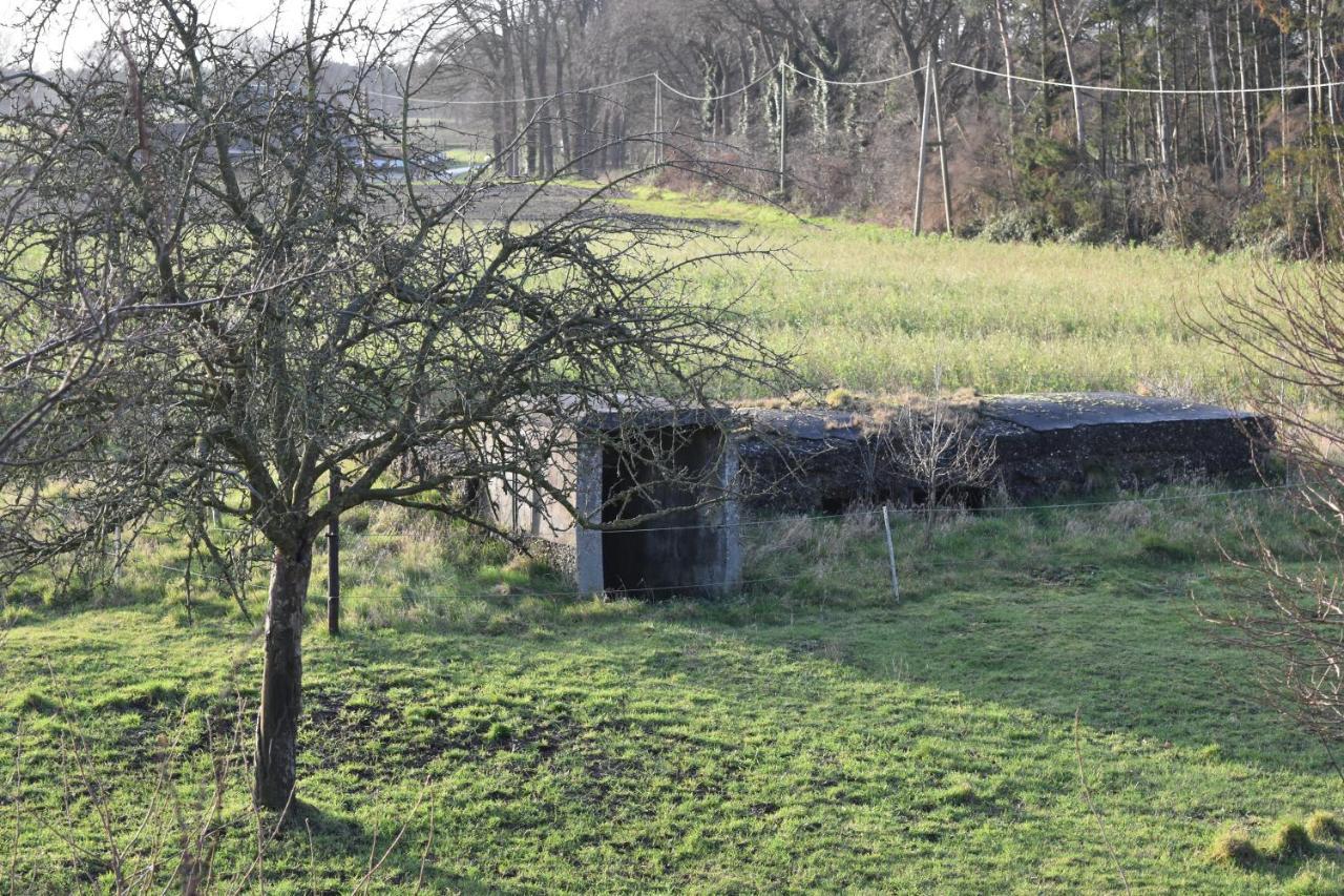 Appartamento Kreativhof Lehmberg Hamminkeln Esterno foto