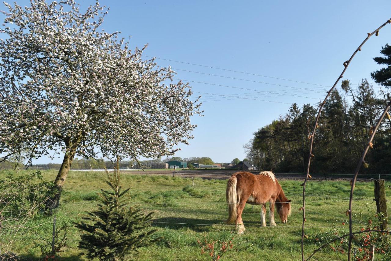 Appartamento Kreativhof Lehmberg Hamminkeln Esterno foto